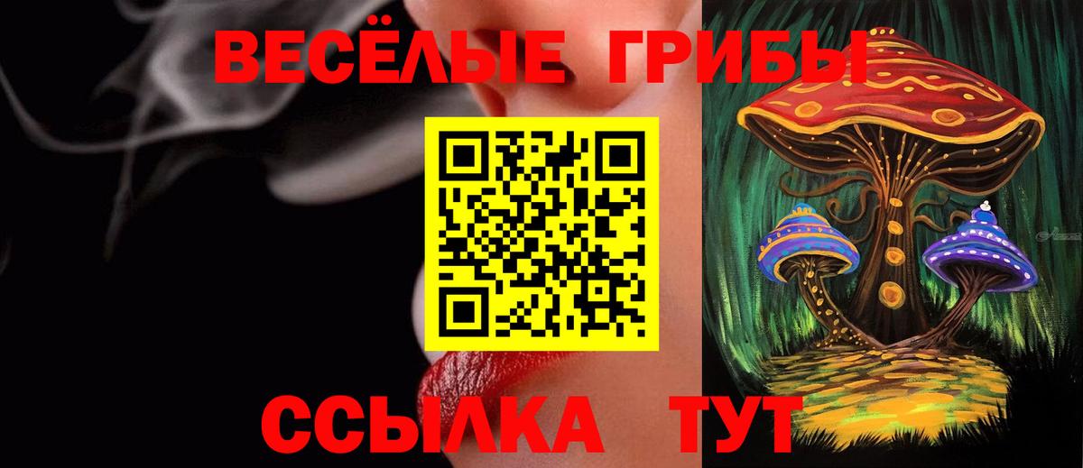 Галлюциногенные грибы Psilocybine cubensis Щёлково